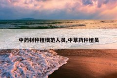 <b>��ҩ����ֲģ����Ա,�в�ҩ��ֲԱ</b>