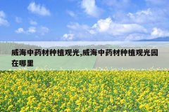 <b>������ҩ����ֲ�۹�,������ҩ����ֲ�۹�԰������</b>