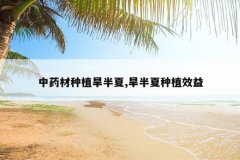<b>��ҩ����ֲ������,��������ֲЧ��</b>