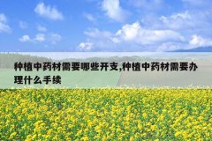 <b>��ֲ��ҩ����Ҫ��Щ��֧,��ֲ��ҩ����Ҫ����ʲô����</b>