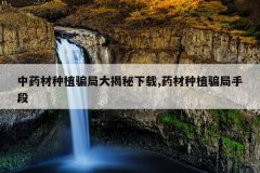 <b>��ҩ����ֲƭ�ִ��������,ҩ����ֲƭ���ֶ�</b>
