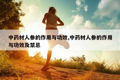 <b>��ҩ���˲ε������빦Ч,��ҩ���˲ε������빦Ч������</b>