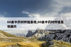 <b>60Ķ��ҩ����ֲ����,60Ķ��ҩ����ֲ����ͼƬ</b>