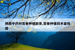 <b>������ҩ�Ŀ����ֲǰ��,�����ֲ����ĶЧ��</b>