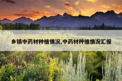 <b>������ҩ����ֲ���,��ҩ����ֲ����㱨</b>