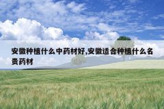 <b>������ֲʲô��ҩ�ĺ�,�����ʺ���ֲʲô����ҩ��</b>