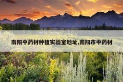 <b>������ҩ����ֲʵ���ҵ�ַ,��������ҩ��</b>