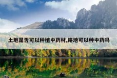 <b>�����Ƿ������ֲ��ҩ��,���ؿ�������ҩ��</b>