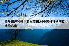 <b>ָ��ũ����ֲ��ҩ�ļ�,����ҩ����ֲ��Ŀʵʩ����</b>