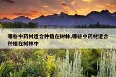 <b>��Щ��ҩ���ʺ���ֲ������,��Щ��ҩ���ʺ���ֲ��������</b>