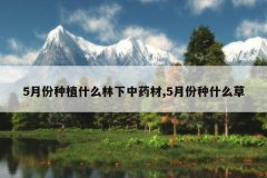 <b>5�·���ֲʲô������ҩ��,5�·���ʲô��</b>