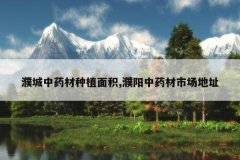 <b>姳���ҩ����ֲ���,�����ҩ���г���ַ</b>