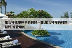 <b>������ֲ������ҩ�ĺ�һЩ,������ɶҩ��Ч���,�ù�����</b>