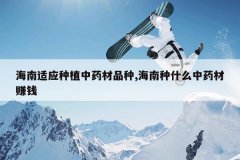 <b>������Ӧ��ֲ��ҩ��Ʒ��,������ʲô��ҩ��׬Ǯ</b>