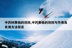 <b>��ҩ�ĻưصĹ�Ч,��ҩ�ưصĹ�Ч�����ü�ʳ�÷�������</b>