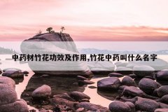 <b>��ҩ���񻨹�Ч������,����ҩ��ʲô����</b>