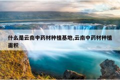 <b>ʲô��������ҩ����ֲ����,������ҩ����ֲ���</b>