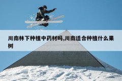 <b>����������ֲ��ҩ����,�����ʺ���ֲʲô����</b>