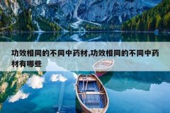 <b>��Ч��ͬ�Ĳ�ͬ��ҩ��,��Ч��ͬ�Ĳ�ͬ��ҩ������Щ</b>