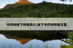 <b>��ҩ��������ֲ���,������ҩ����ֲ����</b>