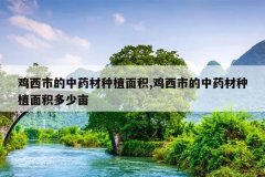 <b>�����е���ҩ����ֲ���,�����е���ҩ����ֲ�������Ķ</b>