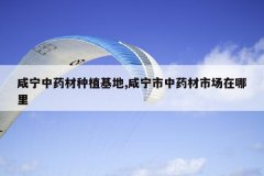 <b>������ҩ����ֲ����,��������ҩ���г�������</b>