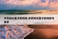 <b>��ҩ�Ĵ����ӵĹ�Ч,��ҩ�Ĵ����ӵĹ�Ч�����</b>