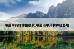 <b>��ü��ҩ����ֲ����,��üɽ��ҩ����ֲ����</b>