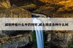 <b>������ֲʲô��ҩ�ĺ�,�������ʺ���ʲô��</b>