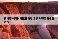 <b>��������ҩ����ֲ���ص�ַ,������������ҽ����</b>