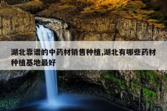 <b>�������׵���ҩ��������ֲ,��������Щҩ����ֲ�������</b>