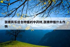 <b>��Ҵ�����ʺ���ֲ����ҩ��,��Ҵ��ֲʲô����</b>