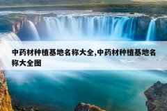 <b>��ҩ����ֲ�������ƴ�ȫ,��ҩ����ֲ�������ƴ�ȫͼ</b>