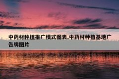 <b>��ҩ����ֲ�ƹ�ģʽͼ��,��ҩ����ֲ���ع����ͼƬ</b>