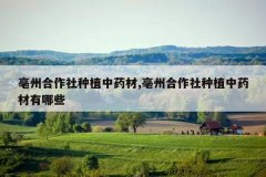 <b>���ݺ�������ֲ��ҩ��,���ݺ�������ֲ��ҩ������Щ</b>