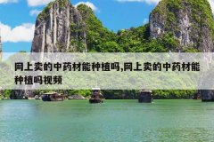 <b>����������ҩ������ֲ��,����������ҩ������ֲ����Ƶ</b>