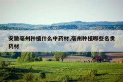 <b>����������ֲʲô��ҩ��,������ֲ��Щ����ҩ��</b>