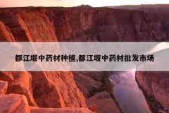 <b>��������ҩ����ֲ,��������ҩ�������г�</b>