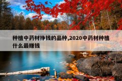 <b>��ֲ��ҩ����Ǯ��Ʒ��,2020��ҩ����ֲʲô��׬Ǯ</b>
