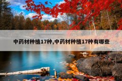 <b>��ҩ����ֲ17��,��ҩ����ֲ17������Щ</b>