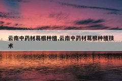 <b>������ҩ�ĸ����ֲ,������ҩ�ĸ����ֲ����</b>