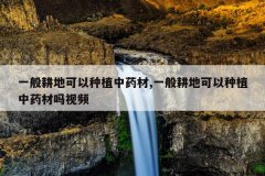 <b>һ����ؿ�����ֲ��ҩ��,һ����ؿ�����ֲ��ҩ������Ƶ</b>