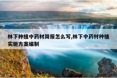 <b>������ֲ��ҩ�ļ���ôд,������ҩ����ֲʵʩ��������</b>