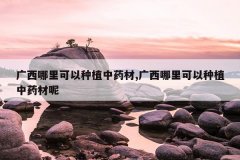 <b>�������������ֲ��ҩ��,�������������ֲ��ҩ����</b>