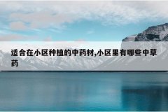 <b>�ʺ���С����ֲ����ҩ��,С��������Щ�в�ҩ</b>