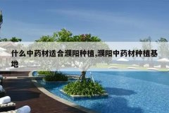 <b>ʲô��ҩ���ʺ������ֲ,�����ҩ����ֲ����</b>