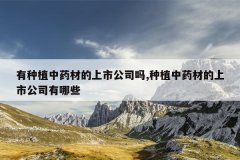 <b>����ֲ��ҩ�ĵ����й�˾��,��ֲ��ҩ�ĵ����й�˾����Щ</b>