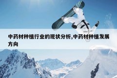 <b>��ҩ����ֲ��ҵ����״����,��ҩ����ֲ��չ����</b>