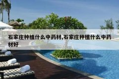 <b>ʯ��ׯ��ֲʲô��ҩ��,ʯ��ׯ��ֲʲô��ҩ�ĺ�</b>