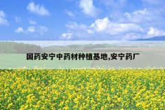 <b>��ҩ������ҩ����ֲ����,����ҩ��</b>